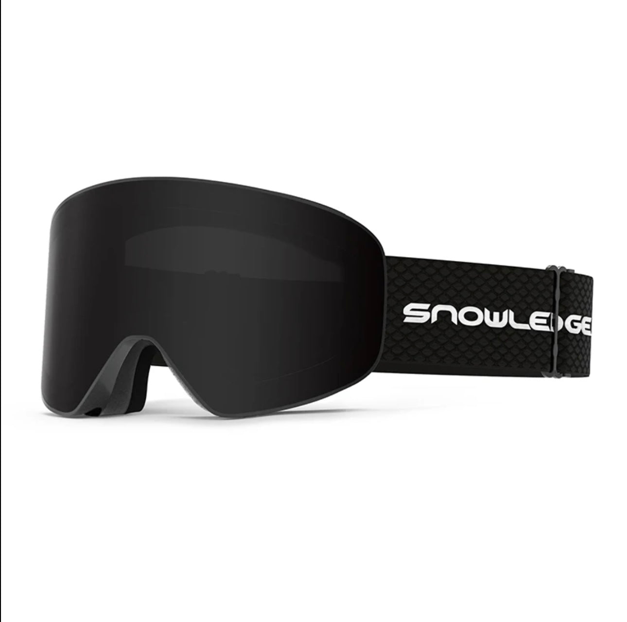 SKI GOGGLES DAKOTA